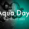 Hansgrohe Aqua Days Etkinliği #8239