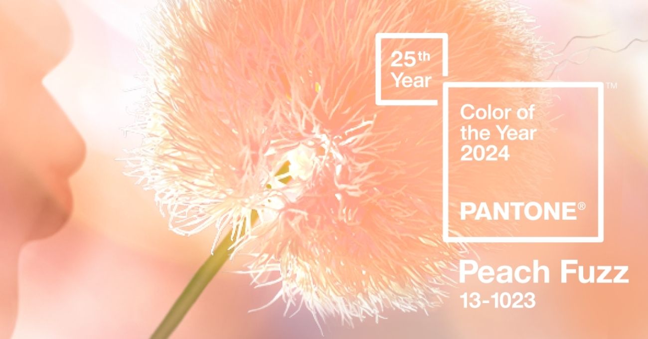 2024 Yılının Renkleri ve 2024 Pantone Rengi Nedir? Yapılır Blog